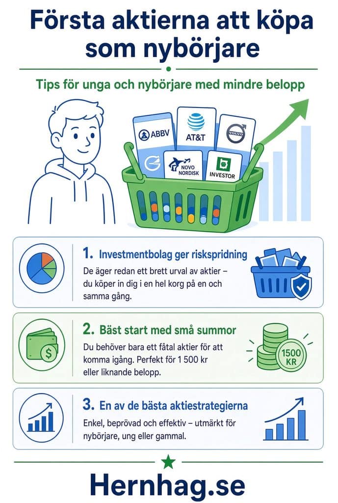 Är du ung eller nybörjare ändå? Då kan steget att köpa sina första aktier kännas osäkert. Här är den typ av aktier som jag tycker är de första aktierna att köpa som nybörjare.
