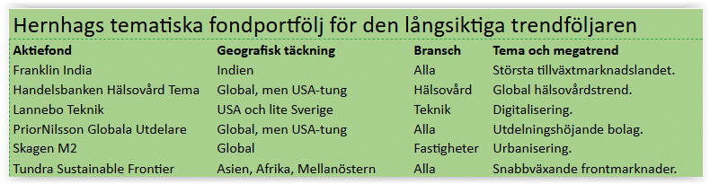 Här är den första av två fondportföljer. Franklin India, Handelsbanken Hälsovård Tema, Lannebo Teknik, PriorNilsson Globala Utdelare, Skagen M2 och Tundra Sustainable Frontier är mina favoritfonder inför framtiden. 